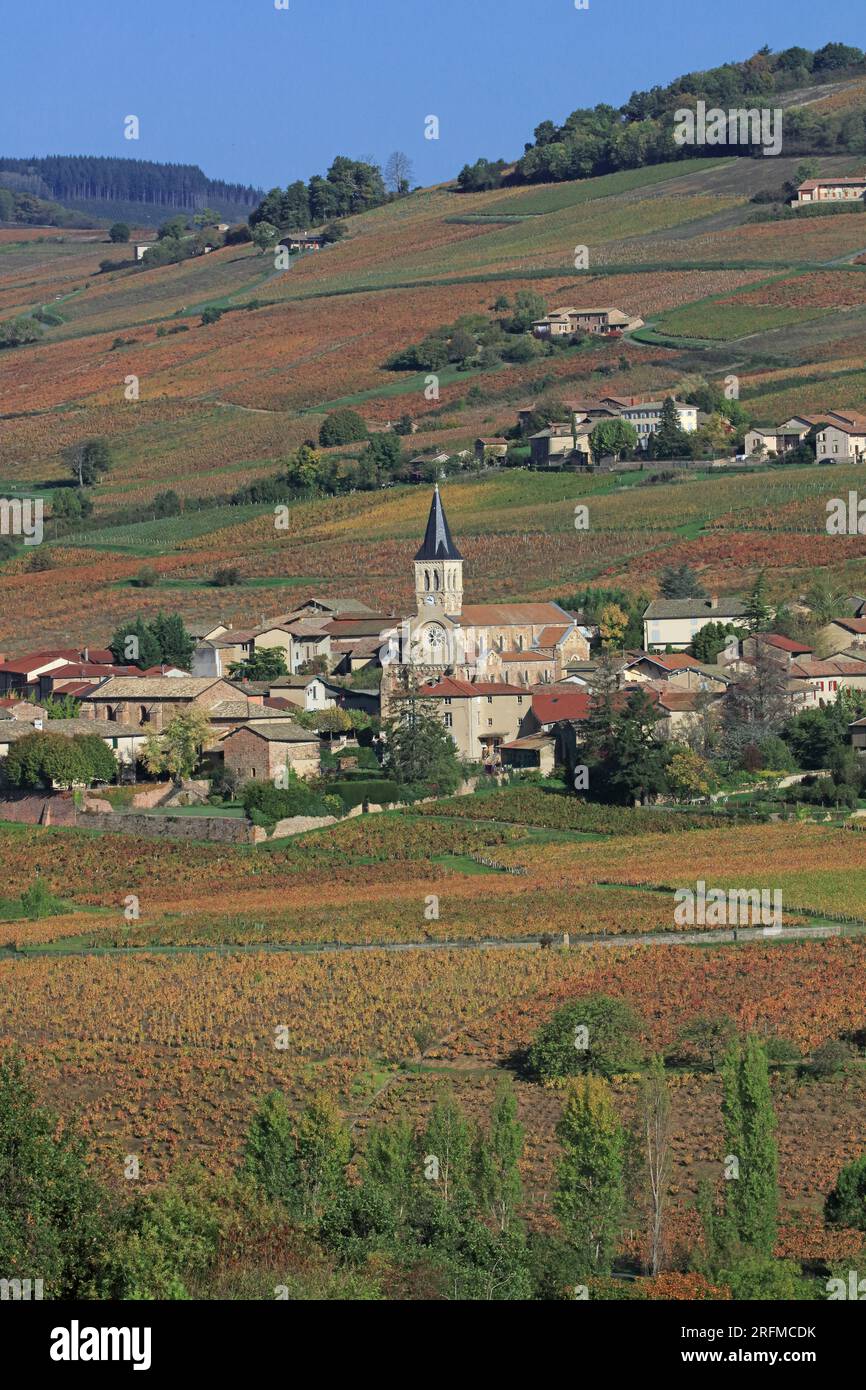 Francia, Rhône (69), Juliénas, Village du vignoble du Beaujolais Grand cru AOC, les vignes en automne / Francia, Rhône Juliénas, villaggio del vigneto Beaujolais Grand cru AOC, viti in autunno / Foto Stock