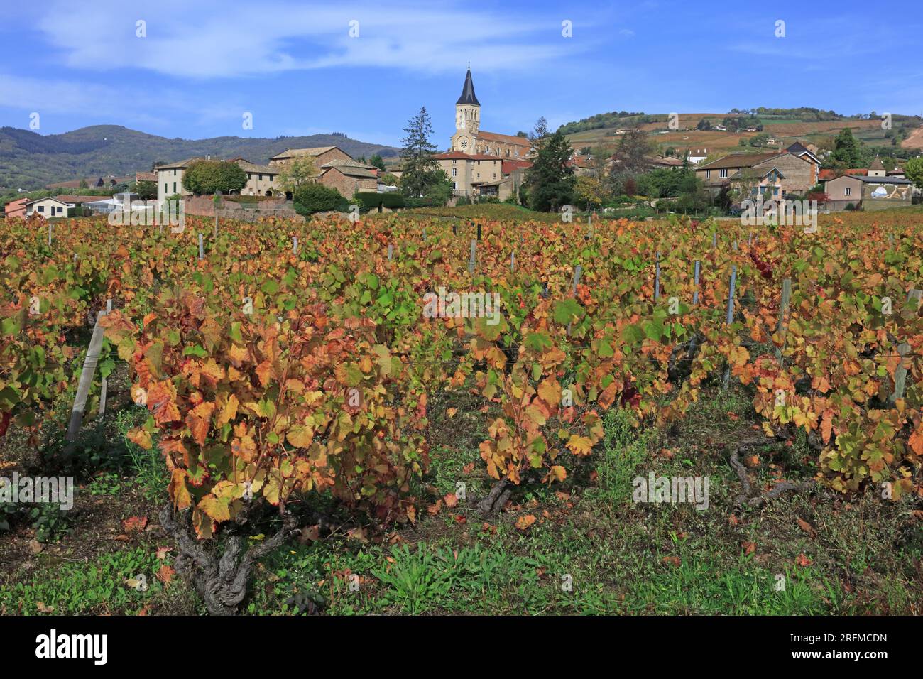 Francia, Rhône (69), Juliénas, Village du vignoble du Beaujolais Grand cru AOC, les vignes en automne / Francia, Rhône Juliénas, villaggio del vigneto Beaujolais Grand cru AOC, viti in autunno / Foto Stock