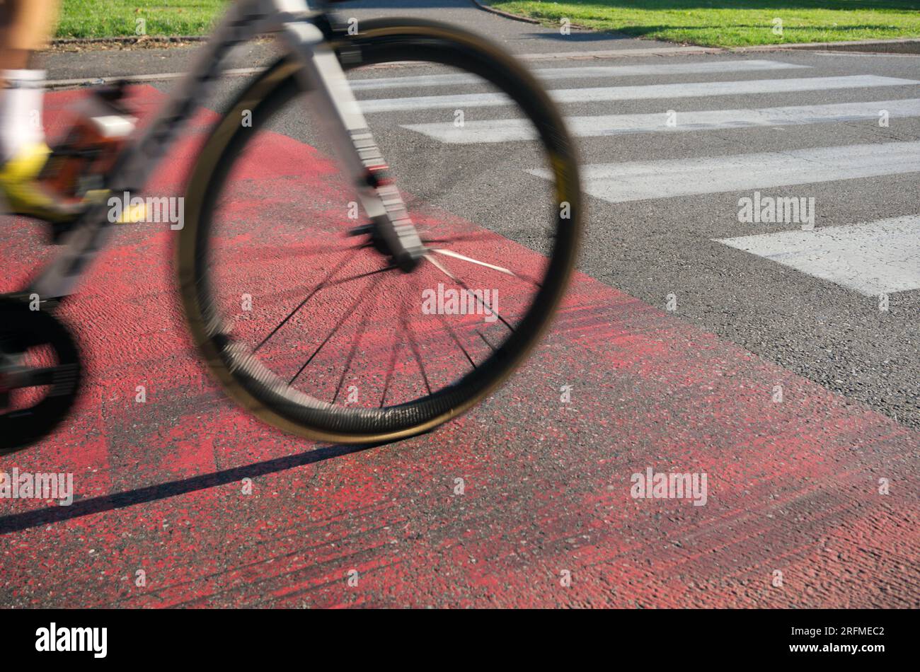 ciclista che passa attraverso zebre Foto Stock