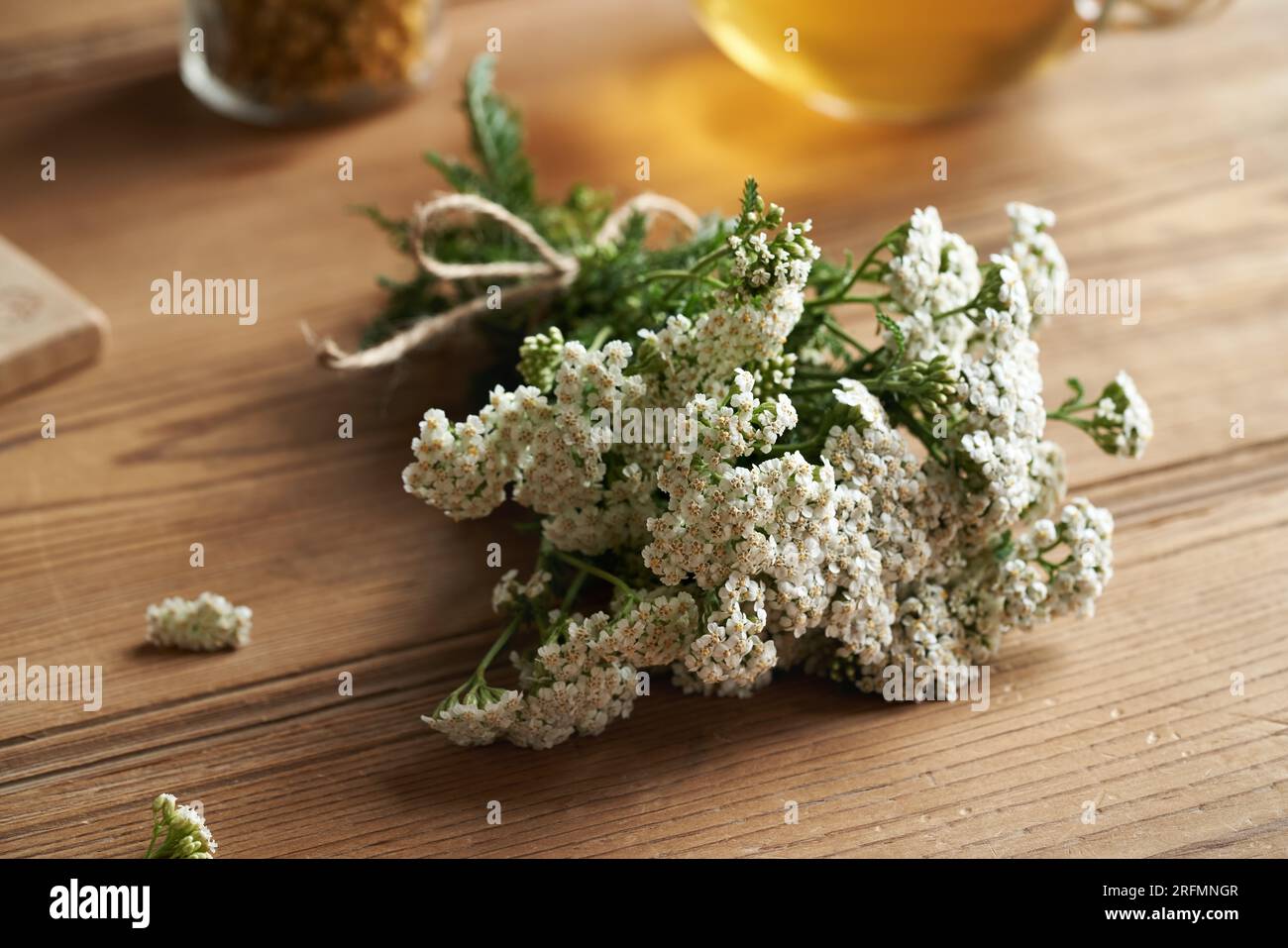 Ramoscelli di yarrow o Achillea millefolium freschi in fiore su un tavolo di legno Foto Stock
