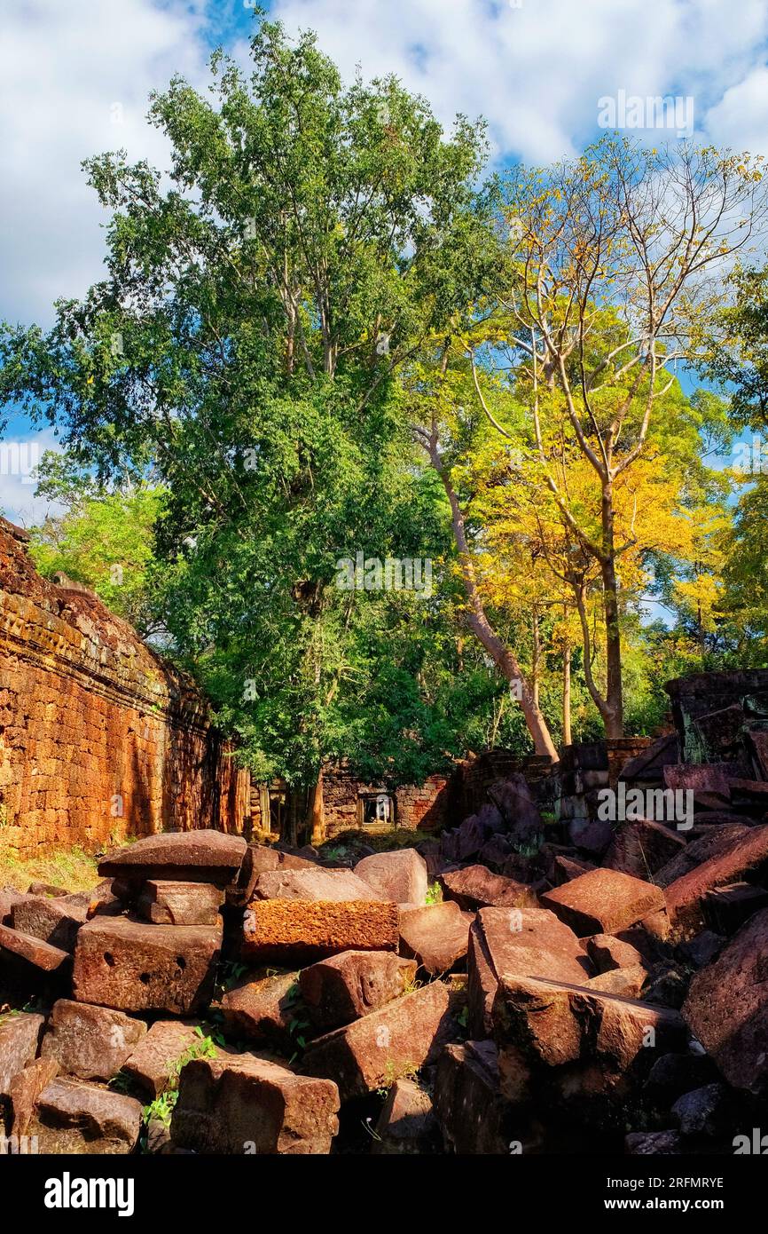 Bellezza antica: Antiche rovine di edifici nella foresta cambogiana, resti della civiltà Khmer, incastonati in un paesaggio affascinante. Foto Stock