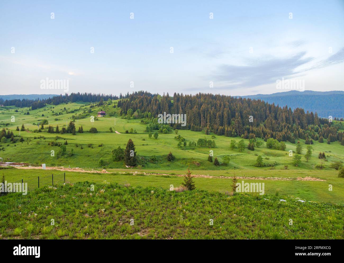 Panorama panoramico: Colline pedemontane del monte Vlasic e prati verdi Foto Stock