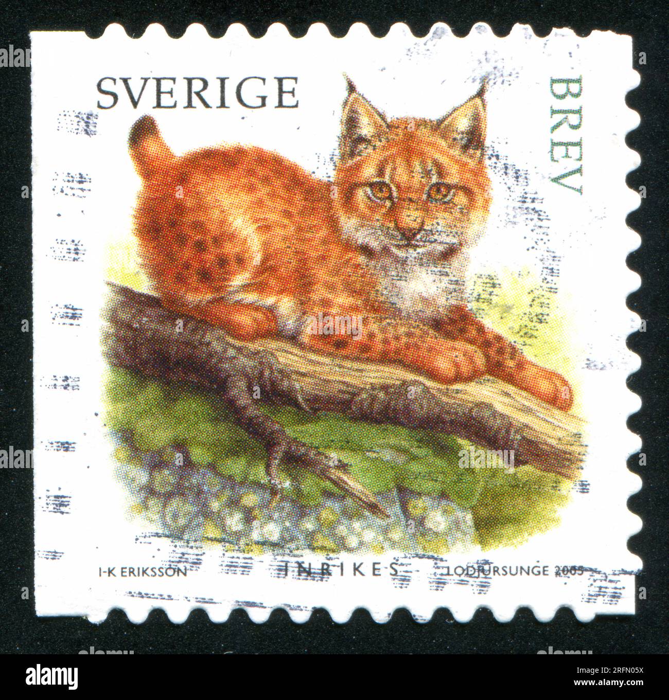 SVEZIA - CIRCA 2005: Francobollo stampato dalla Svezia, mostra Lynx, circa 2005 Foto Stock