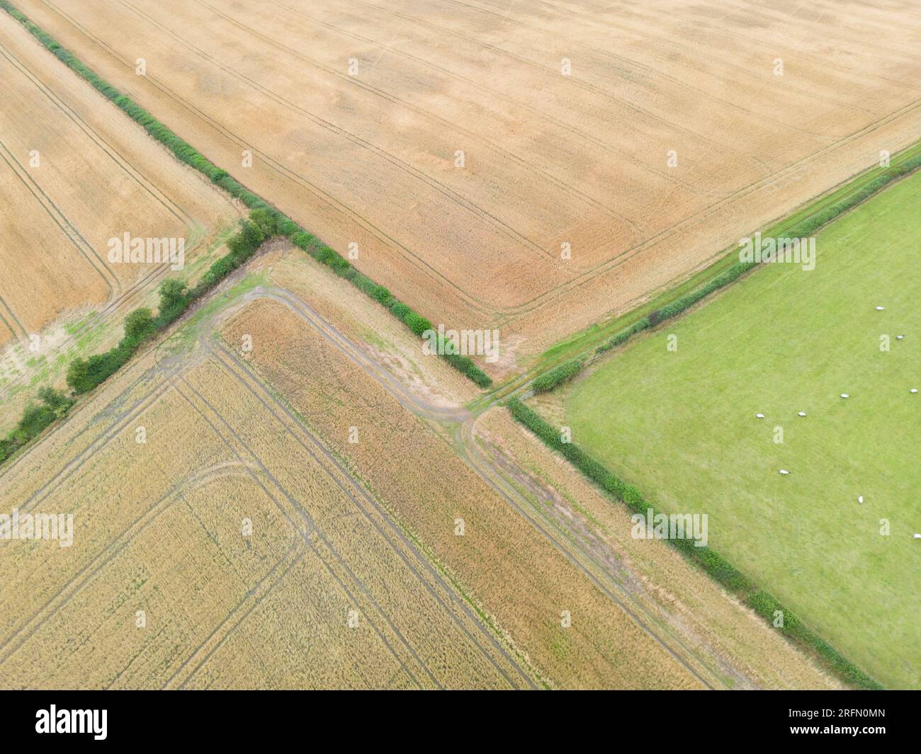 Immagini aeree di terreni agricoli britannici che mostrano i confini del campo e le tracce dei veicoli, South Shropshire, Inghilterra, Regno Unito Foto Stock