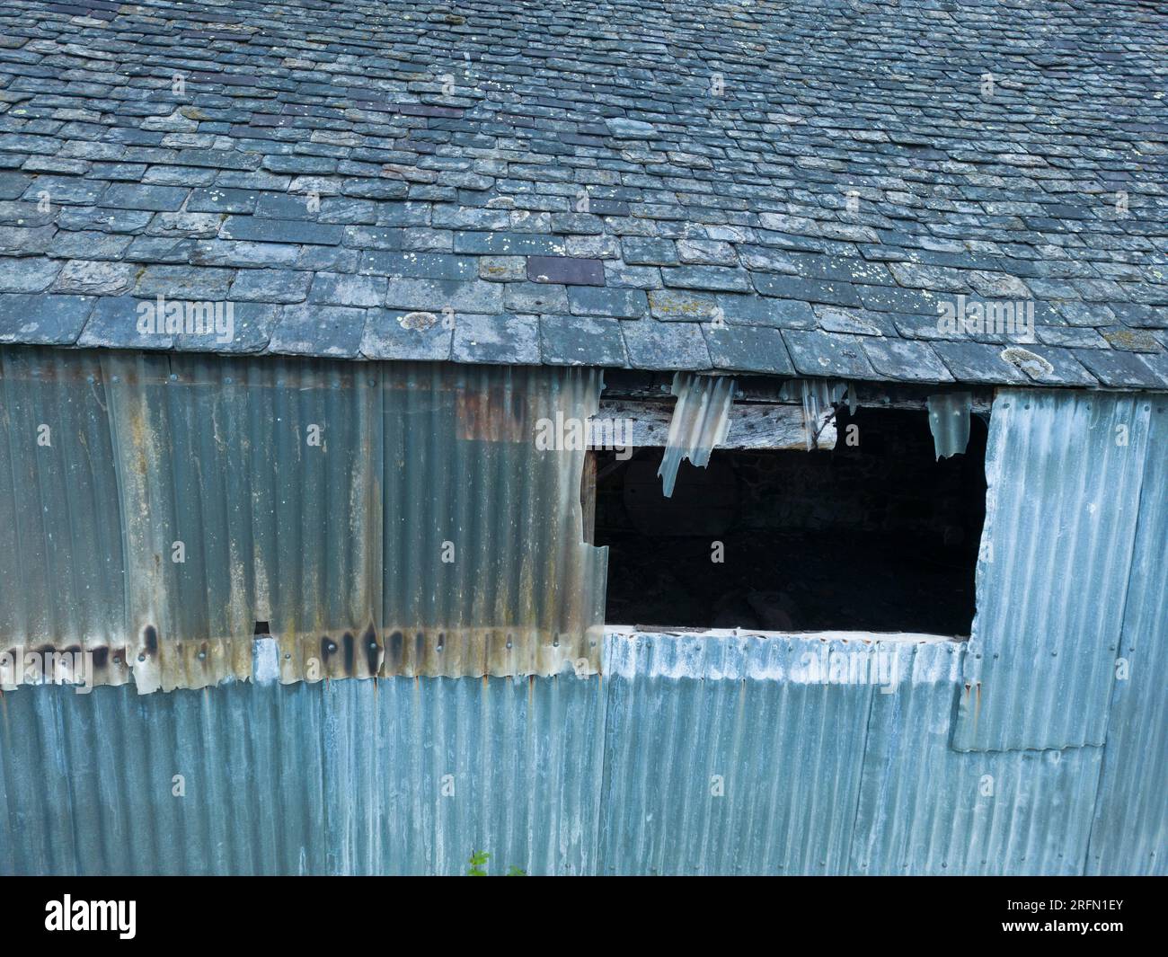 Un vecchio fienile ad Aston on Clun, nello Shropshire, con quello che ho trovato un tetto molto interessante. Foto Stock