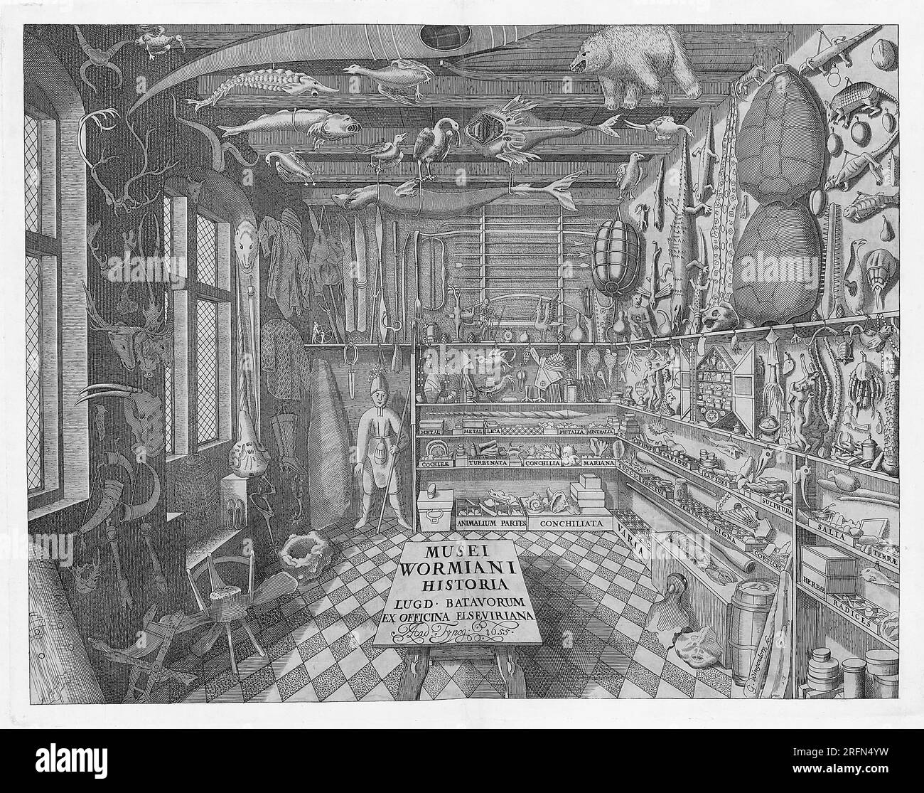 Frontespiece al Museo Wormianum di Ole Worm (1655), raffigurante vari animali taxidermia, conchiglie e altre stranezze. Olaus Wormius (1588-1654) è stato un professore presso l'Università di Copenaghen. Incisione di G. Wingendorp, 1655. Foto Stock