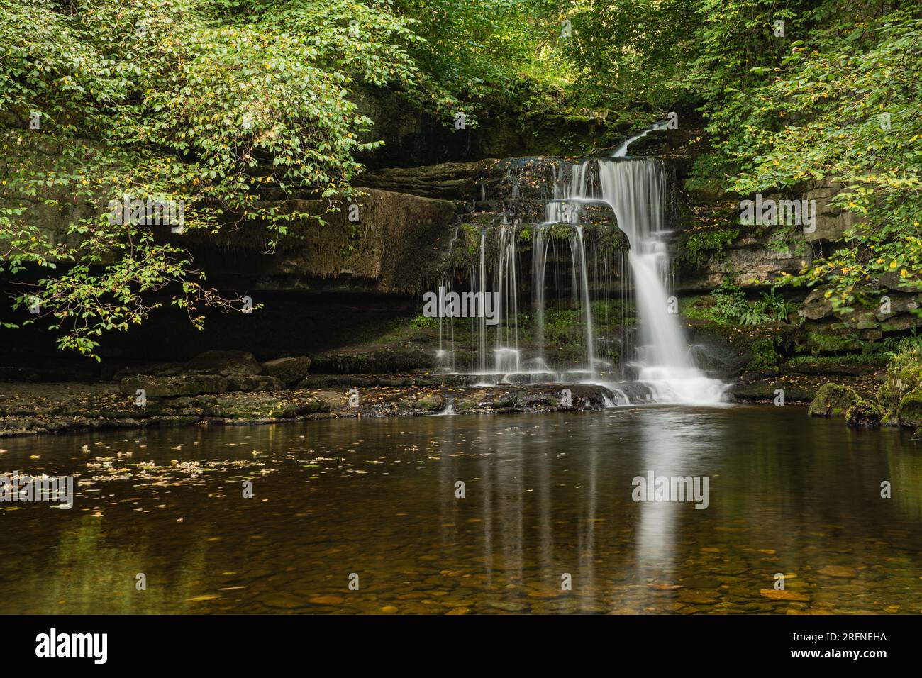 West Burton Waterfall, nota anche come Cauldron Falls, Yorkshire Dales National Park. Yorkshire, Regno Unito Foto Stock