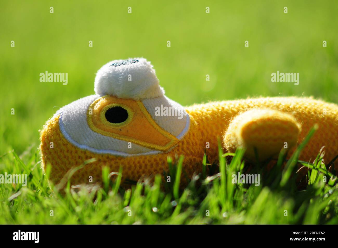 Il giocattolo per cani preferito Foto Stock