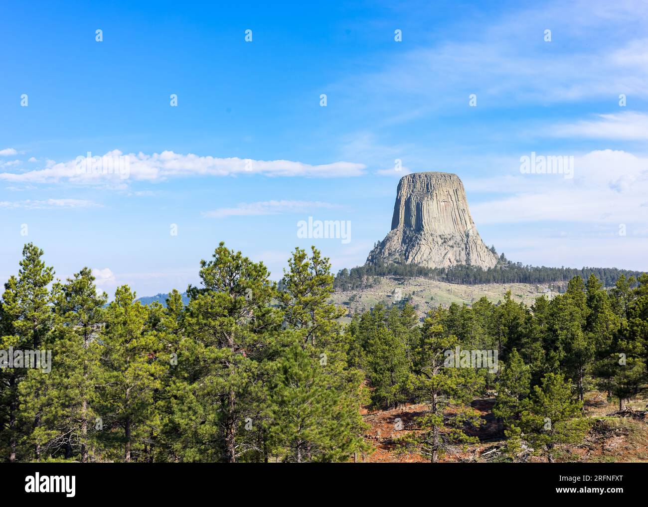 Devil's Tower monumento nazionale, Wyoming Foto Stock