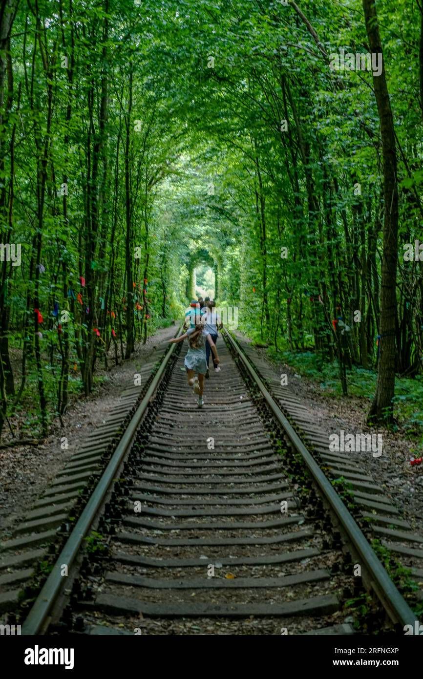 Meraviglia della natura - vero tunnel d'amore, alberi verdi e la ferrovia, Ucraina. Foto Stock