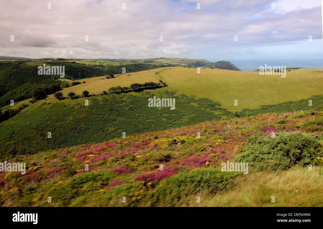 Vista del Parco Nazionale Exmoor Foto Stock