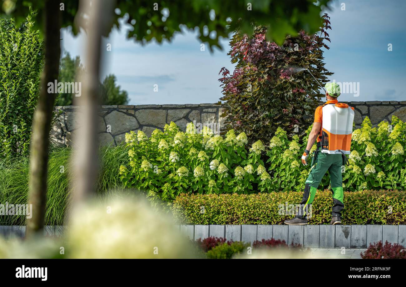 Caucasico professionale guardiano del giardino sostanze chimiche spalmanti utilizzate per controllare gli insetti Foto Stock