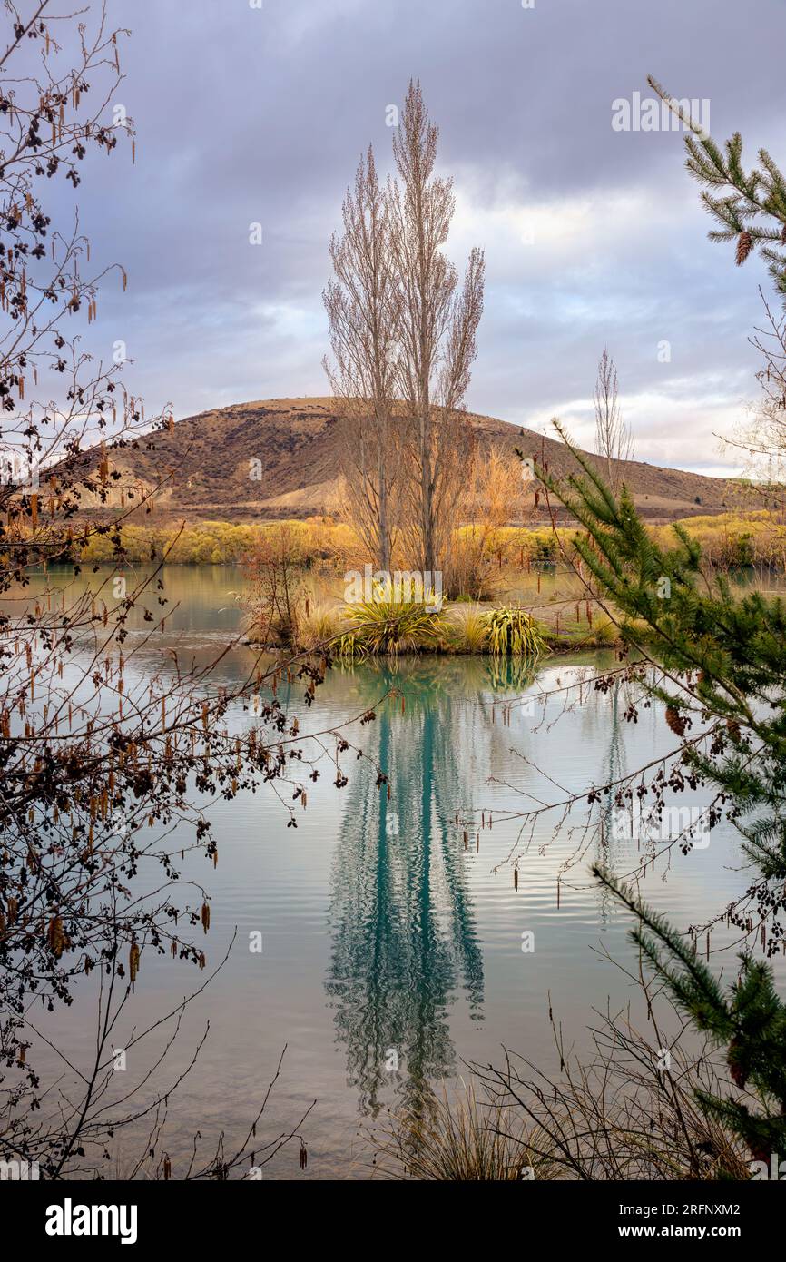 Attraverso gli alberi. Foto Stock