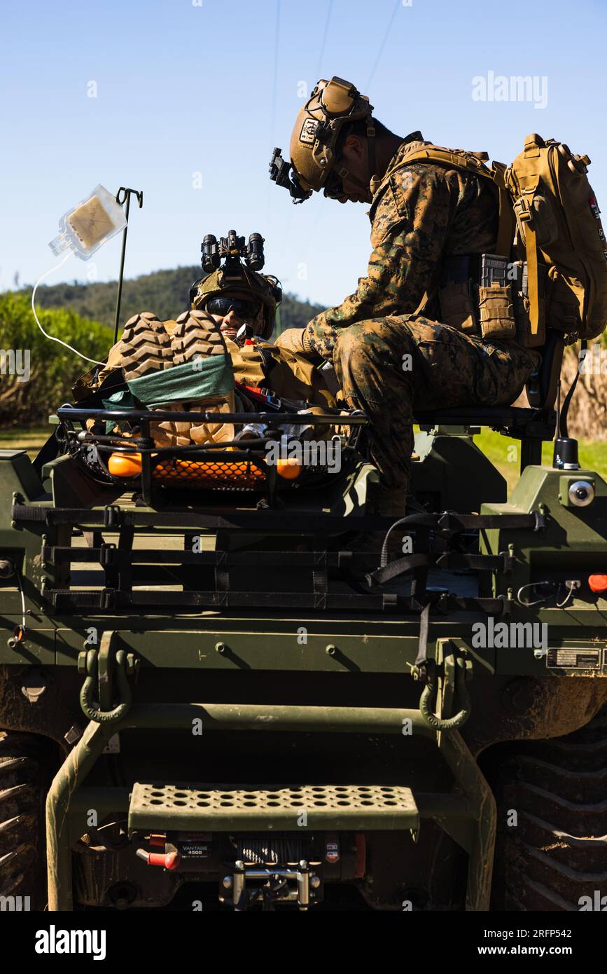 STATI UNITI Navy Petty Officer 3rd Class Todd Kajornkitipoom, un corpo d'ospedale con India Co., 3rd Battalion, 1st Marine Regiment (rinforzato), Marine Rotational Force – Darwin 23, valuta una vittima simulata durante l'esercitazione Talisman Sabre 23 a Proserpine, Queensland, Australia, 31 luglio 2023. Il talismano Sabre è la più grande esercitazione militare bilaterale tra l'Australia e gli Stati Uniti, con la partecipazione multinazionale, facendo avanzare un indo-Pacifico libero e aperto rafforzando le relazioni e l'interoperabilità tra gli Alleati chiave e potenziando le nostre capacità collettive per rispondere a un'ampia ar Foto Stock