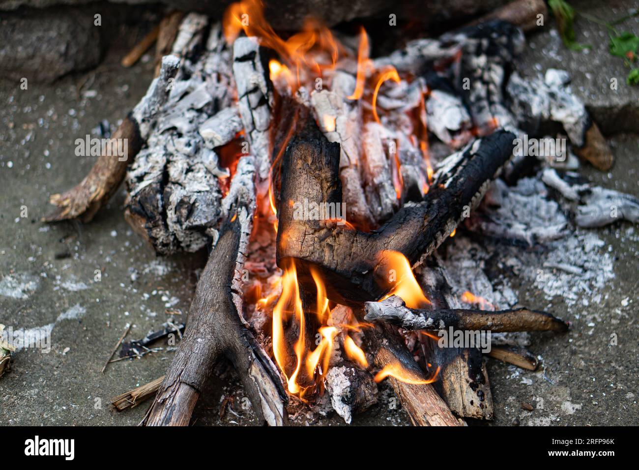 falò arrosto e grigliate a legna Foto Stock