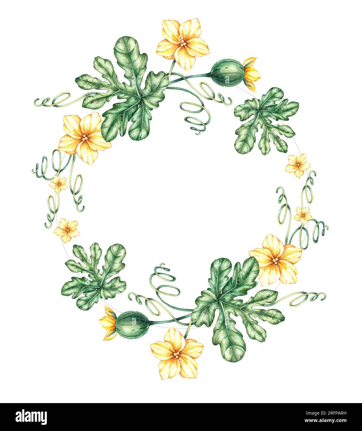 Corona di anguria disegnata a mano. Anguria, foglie, tendini vegetali, frutta su sfondo bianco. Illustrazione botanica per schede di disegno, invit Foto Stock