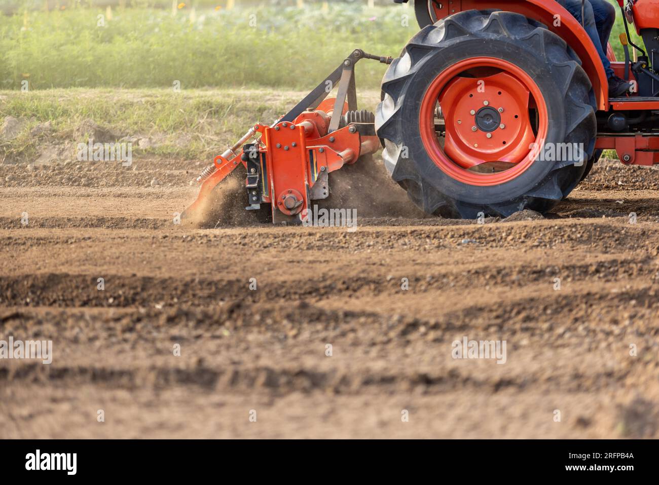 Trattore che coltiva terreni con un timone rotativo in azienda agricola. Foto Stock