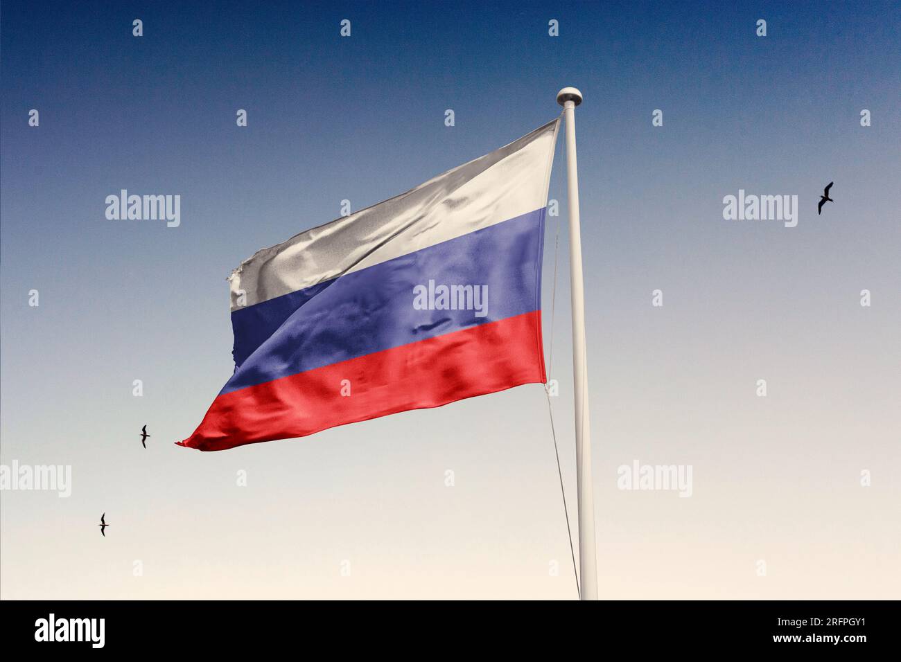 Quailty premium per il download della bandiera hd per la Russia Foto Stock
