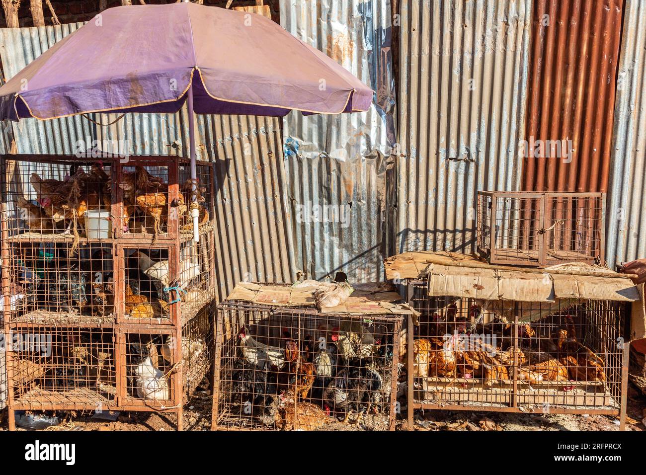 Mercato jinja: Pila di cipollotti in vendita. Foto Stock