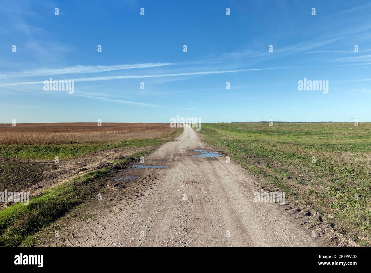 Una strada di campagna senza asfalto o ghiaia, una semplice strada percorsa sulla sabbia in un campo in campagna Foto Stock