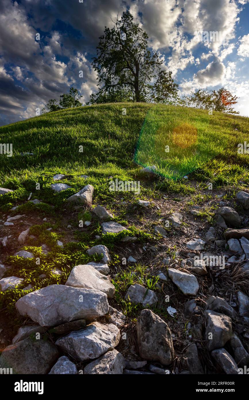 paesaggio verticale di una collina con alberi sotto un cielo nuvoloso con illuminazione intensa e luce parassita Foto Stock