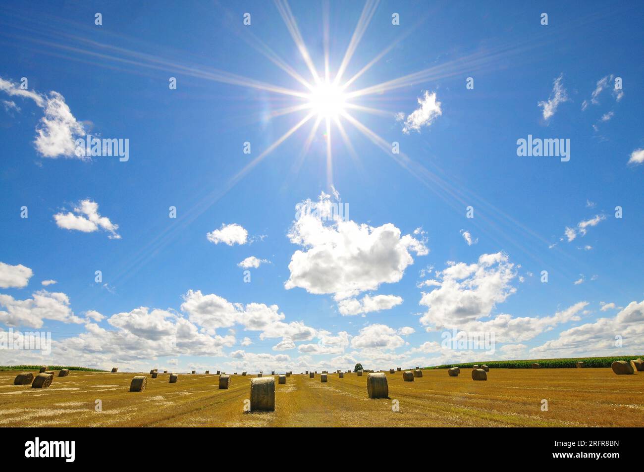 Immagine retroilluminata di balle di paglia su un campo di grano raccolto in Baviera, Germania, Europa Foto Stock
