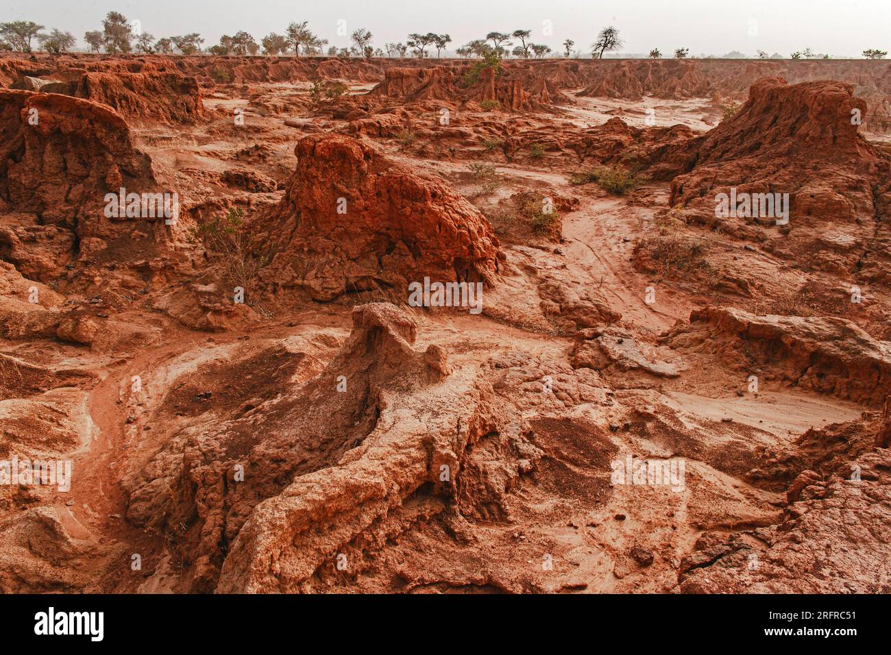 Erosione del suolo in Mali, Africa occidentale Foto Stock