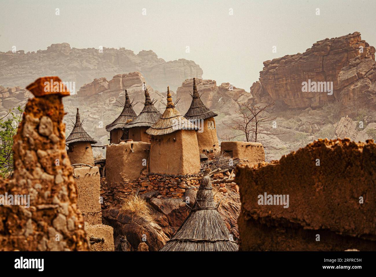 Villaggio di Dogon e tipici edifici di fango, edifici utilizzati come fienili per lo stoccaggio di cereali , Mali , Africa occidentale Foto Stock