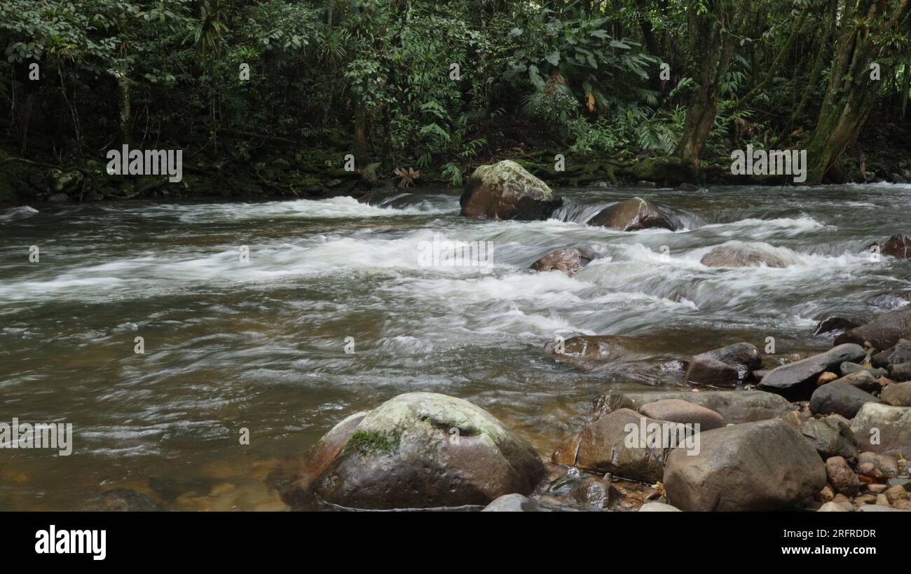 Il fiume Recanto Silvestre in inverno Foto Stock
