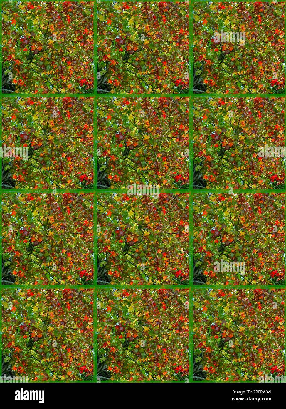 Sfondo: Foglie rosse, verdi, gialle, marroni, d'acero. Sfondo a foglia verticale. Progettazione sotto forma di pannelli. Foto Stock
