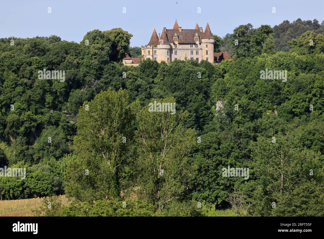 Le château de l’époque Renaissance de Marzac en Périgord, Dordogna, Francia, Europa Foto Stock