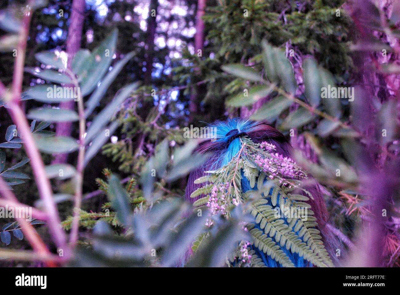 Fata della foresta Foto Stock