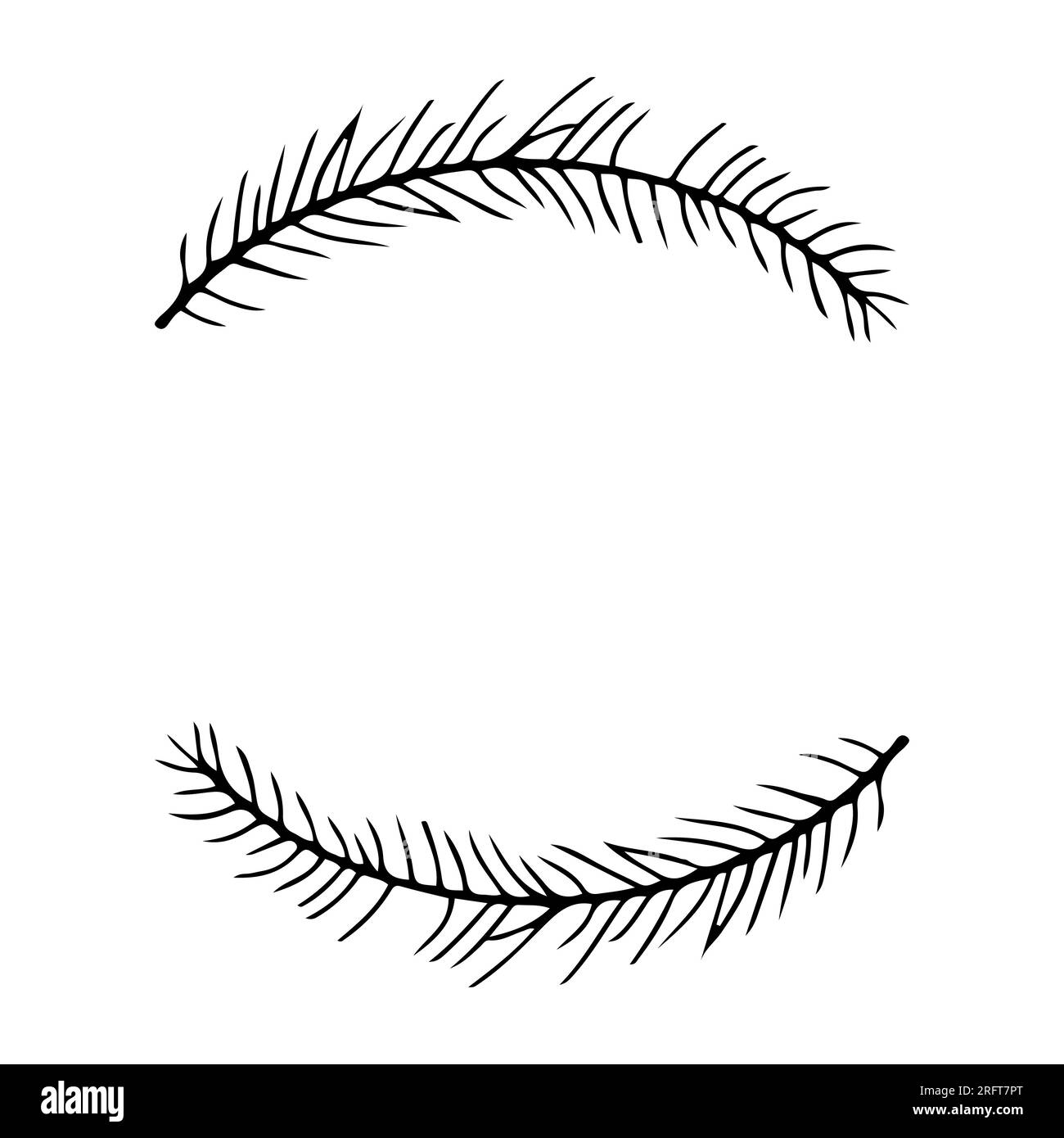 Struttura circolare del ramo di pino in stile doodle isolata su sfondo bianco. Bordo carino, design semplice. Illustrazione vettoriale Illustrazione Vettoriale