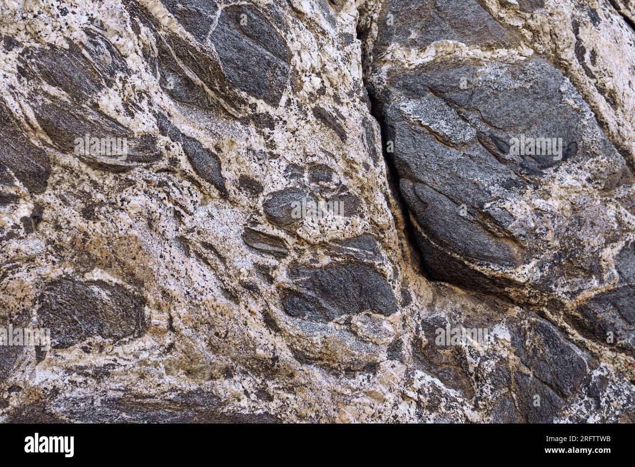 Sfondo metamorfico Gneiss rock con texture e strati in bianco e nero. Da diorite al quarzo a gneiss monzonite al quarzo. Foto Stock