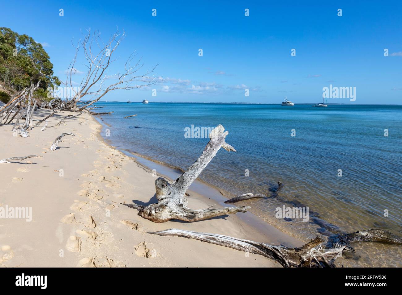 Giovani coppie che si tengono per mano e camminano lungo la spiaggia di Fraser Island, K'gari, a Kingfisher Bay, Queensland, Australia, 2023 Foto Stock