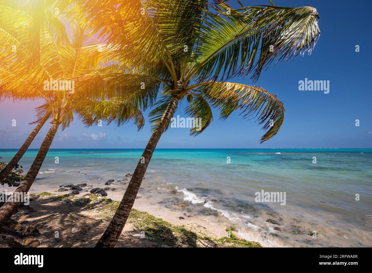 Spiaggia in paradiso sfondo blu caraibico. Giornata di sole sull'isola Foto Stock