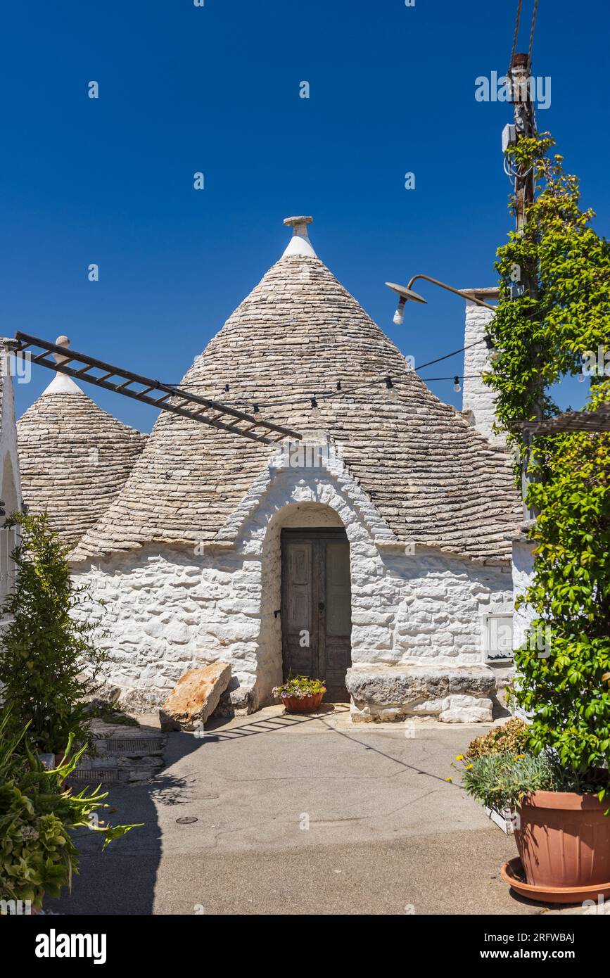 ITALIA, PUGLIA, TRULLIS DEL VILLAGGIO DI ALBEROBELLO, PATRIMONIO MONDIALE DELL'UNESCO. I TRULLI SONO ABITAZIONI IN PIETRA A SECCO. QUESTI SONO ESEMPI NOTEVOLI Foto Stock