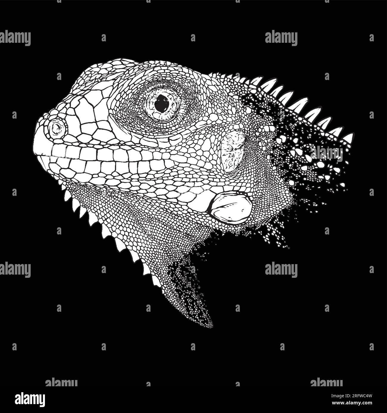 Immagine del disegno di iguana con contorno vettoriale grunge animale Illustrazione Vettoriale