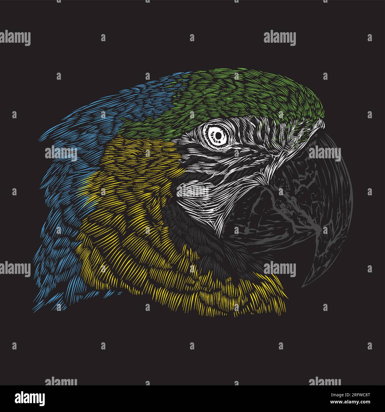 Immagine di uno schizzo blu e oro macaw che disegna un animale grunge vettoriale Illustrazione Vettoriale