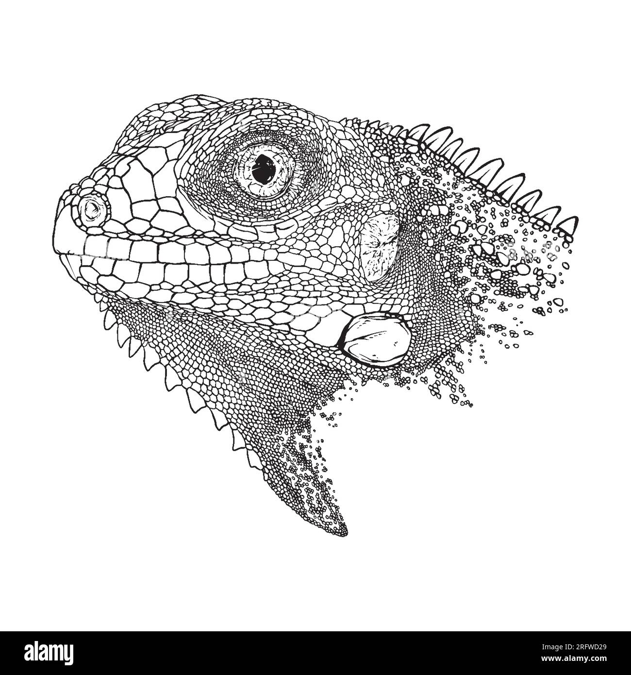 Immagine del disegno di iguana con contorno vettoriale grunge animale Illustrazione Vettoriale