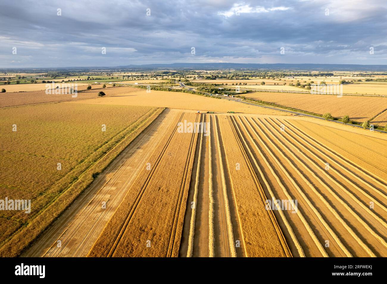 Raccolta di orzo in estate vicino a Ripon, North Yorkshire, Regno Unito. Foto Stock