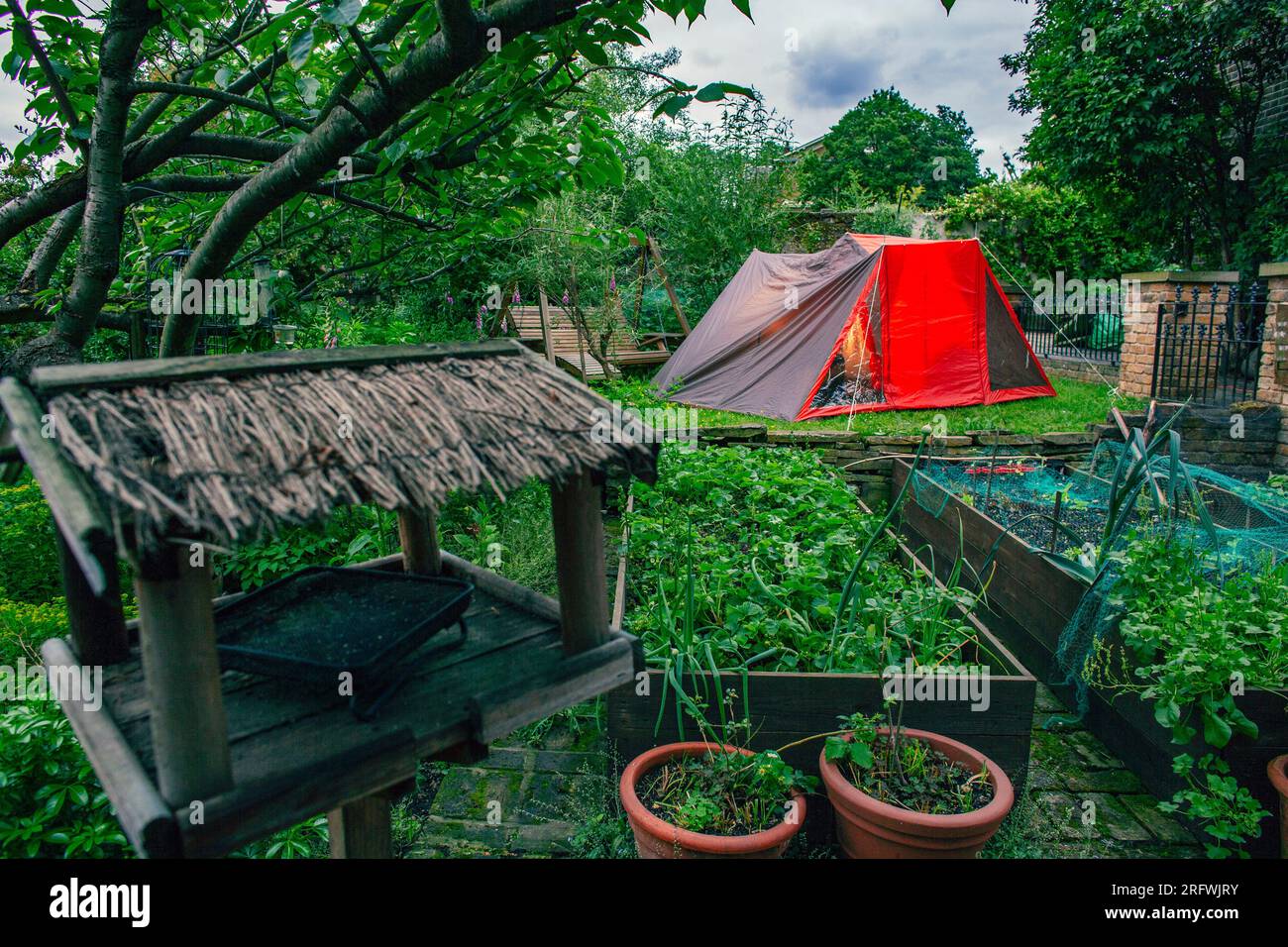 Tenda rossa su un prato nel giardino dietro, Londra, Regno Unito Foto Stock