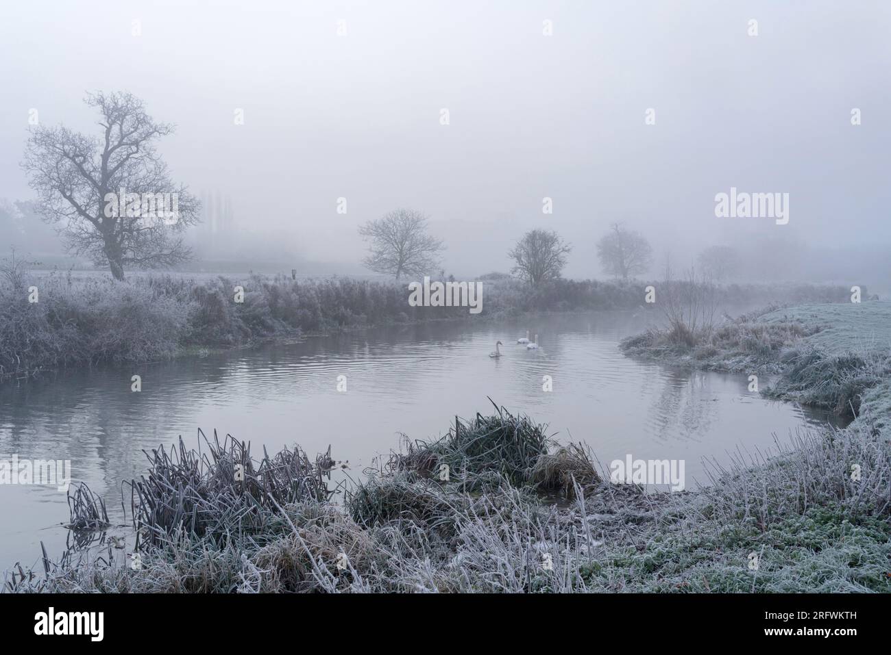 Una mattinata amaro-fredda nella nebbia gelida a Grantchester Meadows, Grantchester, Cambridge, Regno Unito Foto Stock