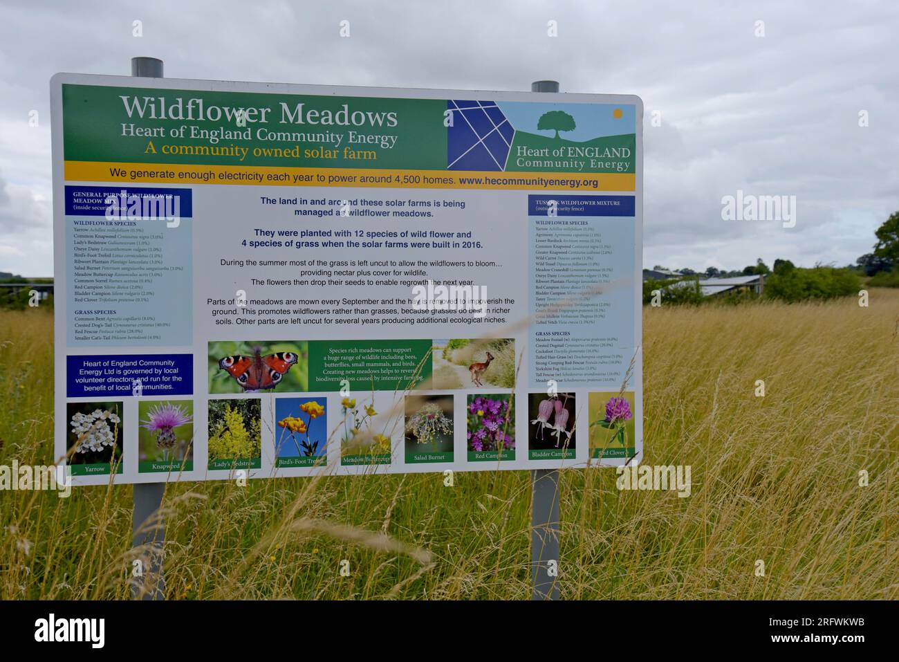 Heart of England Community Energy, fattoria solare e prati di fiori selvatici, un progetto di energia rinnovabile di proprietà della comunità vicino a Stratford Upon Avon, Warwickshire Foto Stock
