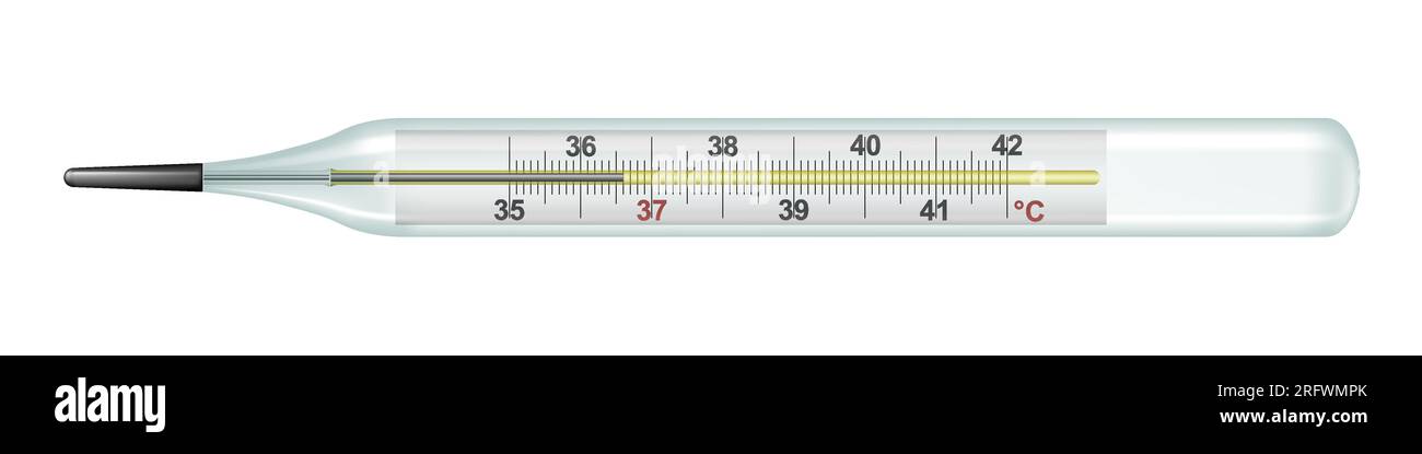 Termometro al mercurio. Illustrazione vettoriale realistica Immagine e  Vettoriale - Alamy
