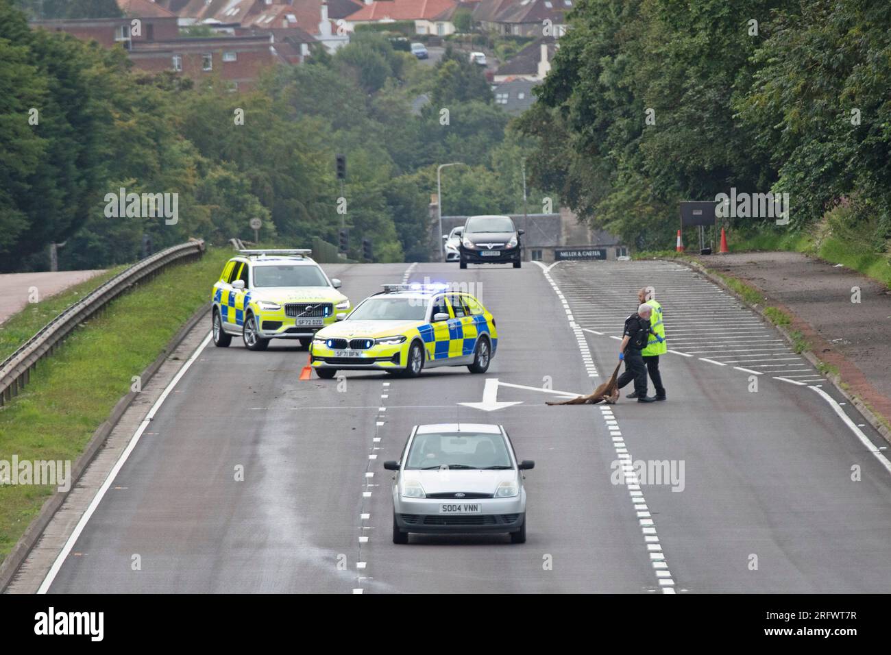 M90 Queensferry Road, Scozia, Regno Unito. 6 agosto 2023. UCI World Cycling Championship Men's Elite Road Race. I cervi morti vengono rimossi dalla strada prima della partenza da Edimburgo. Arrivo della gara nella George Square di Glasgow, che copre una distanza di 270 km Nella foto: Peloton su M90. Credito: Notizie dal vivo Archwhite/alamy Foto Stock