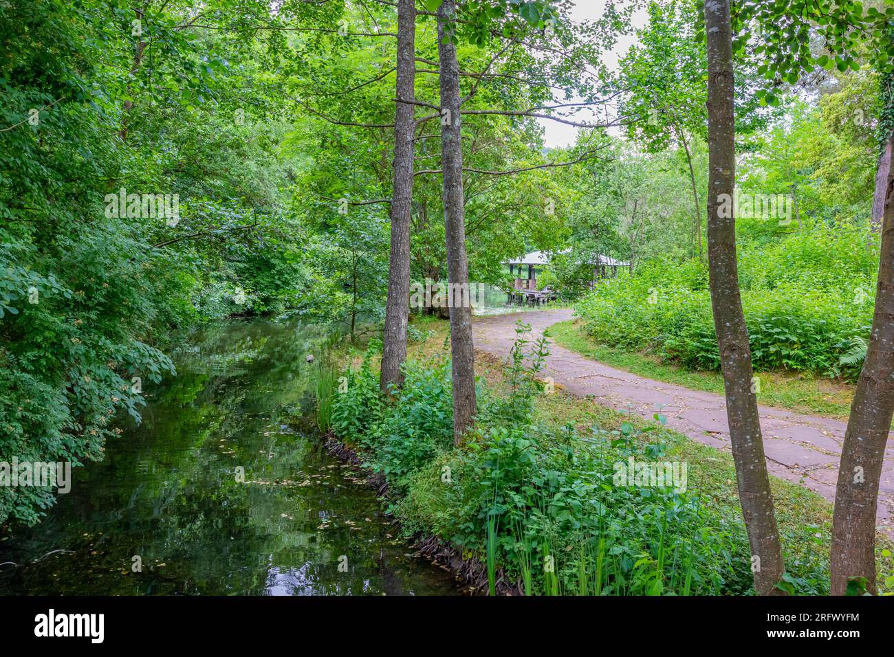 Sentiero pedonale vicino a uno stretto ruscello circondato da vegetazione selvaggia e alberi lussureggianti con vegetazione verde, gazebo in legno sullo sfondo, soleggiata giornata estiva Foto Stock