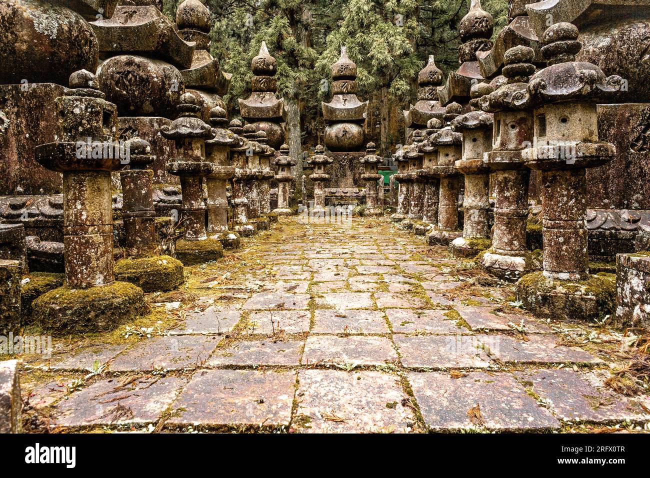 Paesaggio nel Koyasan, Monte Koya, Giappone. Il Monte Koya è il centro del Buddismo Shingon, Foto Stock