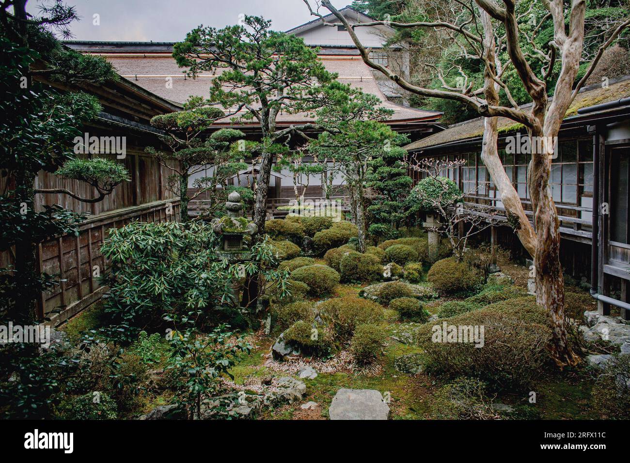 Giardino giapponese nel Tempio Rengejoin a Koyasan, Monte Koya, Giappone Foto Stock