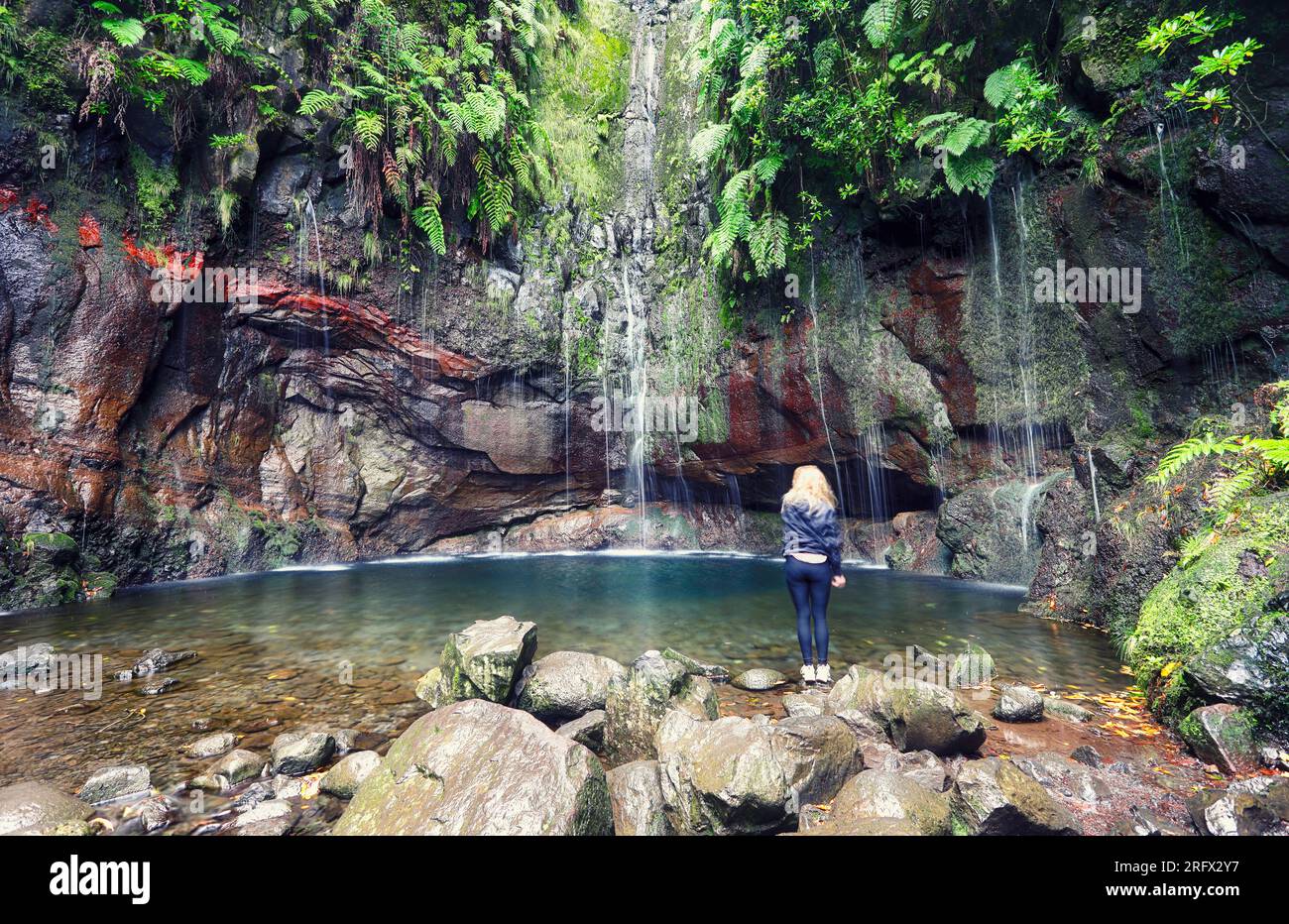 Sentiero escursionistico Levada 25 Fontes nella foresta di allori - percorso per le famose venticinque fontane in uno splendido paesaggio - Isola di Madeira, Portogallo Foto Stock